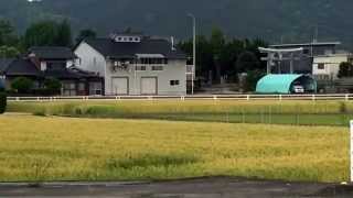 田舎の風景☆香川県の小麦畑が黄金色でとてもきれい