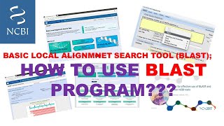 Bioinformatics| NCBI Blast, Sequence Analysis & Result Interpretation | Bioinformatic Tutorials