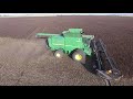 Fabelle Faba Bean Harvest