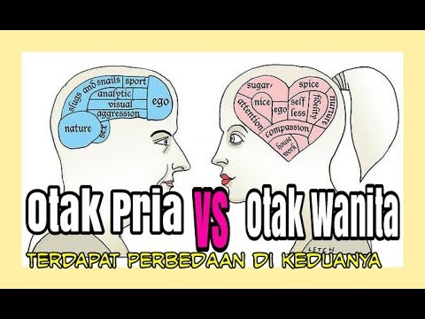 Otak Wanita Vs Otak Pria ( Penting Untuk Tau ) - YouTube