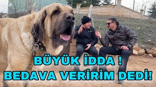 KÖPEĞİMİ BEDAVA VERİRİM DİYEN ARIZA GALERİCİ ~ DEV MALAKLI KAÇ KİLO GELDİ ?