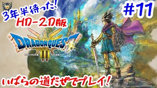 【HD-2D版DQ3 #11】『ドラゴンクエスト3 そして伝説へ』をいばらの道だぜでやっていく！【Switch版】【HD2D ドラクエ3】＊ネタバレ注意