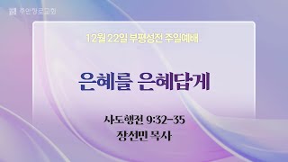 [주일1부예배] 은혜를 은혜답게 I 사도행전 9:32-35 I 장선민 목사 I 2024.12.22