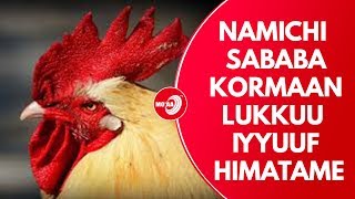 NAMICHI SABABA KORMAAN LUKKUU IYYUUF HIMATAME | MO'AA TV ODUU  BOHAARTII