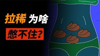 拉肚子时，为什么一刻都憋不住？【科普小姐姐】