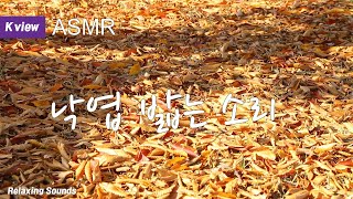 [백색소음 ASMR]  Walking on fallen leaves | 낙엽 밟는 소리, 효과음 , 산책길,  자연 숲 소리