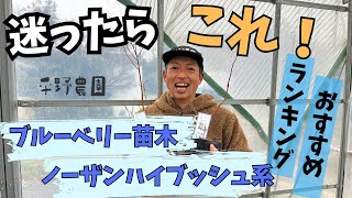 【ノーザンハイブッシュ系】平野農園がオススメするノーザンハイブッシュ系のおすすめランキングです！