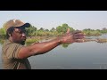 This is the Mighty Zambezi River- Zimbabwe 🇿🇼