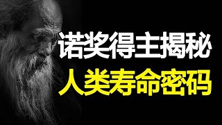 人类能否突破寿命极限？决定寿命的关键被发现，解读《端粒效应》