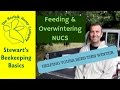 Beekeeping Basics - Feeding & Overwintering Honeybee Nucs- The Norfolk Honey Co.