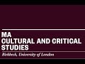 Studying MA Cultural and Critical Studies at Birkbeck