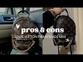 REVIEW! Pros & Cons Palm Springs Mini | Louis Vuitton