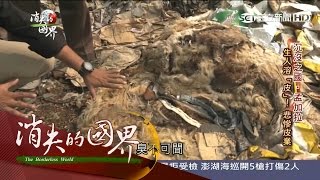 20170506【消失的國界PART1】動物皮堆滿地如停屍間　孟加拉的悲慘皮業｜李天怡主持｜三立新聞台