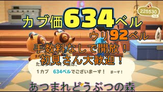 カブ価634ベル、ウリ92ベルの島を無償開放！ 往復OK！初見さん大歓迎！ 【あつまれどうぶつの森】【ライブ配信】