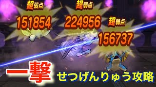 【ドラクエウォーク】せつげんりゅうのほこらワンパン攻略解説‼️推奨レベルはホースデビルより高いはずなのに。。。