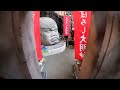 super weird museum in shizuoka japan まぼろし博覧会～キモ可愛いパラダイス楽園