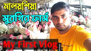 মালয়েশিয়া মুরগির ফার্ম | Malaysia murgi farming | my First vlog | Siraj Pro.52