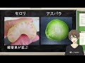 茎のつくり（道管・師管）（植物と動物の生きるしくみ）【中2理科わかりやすい授業動画】