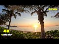 Virtual Run Tropical Beach - Palm Cove 4K - Running Video - Virtual Scenery - Australia Walking Tour