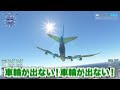 【着陸】飛行機をスカイツリーに緊急着陸させてみた！！