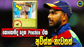 Avishka Fernando in practicing  again - Sri Lanka Cricket -ikka slk