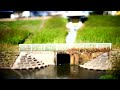 【利根運河】運河を歩く walk along the canal