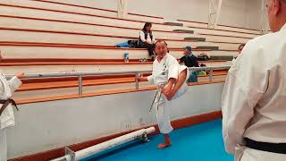 Asai-ryu karate, Karate body exercise, Leg and hip joints Flexibility #2 浅井流空手・基本運動・脚と股関節の柔軟性その弐