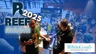 🌊 Reefmania 2025 | Aftermovie | Der ultimative Messerundgang zur Meerwasseraquaristik-Messe! 🐠✨