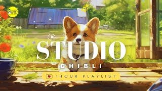 Studio Ghibli Playlist (1 Hour of Relaxing Studio Ghibli Piano)🥝Spirited Away, Howls Moving Castle