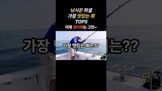 이제 광어회는 그만좀