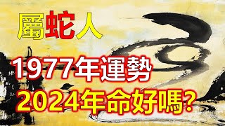 十二生肖，1977年屬蛇人總是無處不在。1977年屬蛇人極活躍，他們喜歡成為所有荒唐行為的角色，屬蛇人會根據自己的出生年份，2024運勢如何。對於1977年出生，屬蛇的人來說2024年的運勢（生肖蛇）