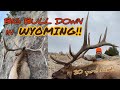 WYOMING ELK HUNT 2023 | I shot him prone at 20 yards!!!