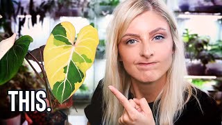 8 REALLY ANNOYING Variegated Rare Houseplants!