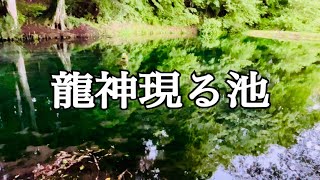 龍神現る池　真楽寺