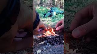 Pregatirea si Aprinderea Focului cu Amnar #shorts #bushcraft #supravietuire #outdoors #woodsman