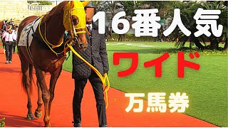 どの馬かわかる？16番人気の馬が3着でワイドの万馬券　パドッククイズ難易度S