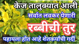 सर्वात लवकर येणारी तुर आता केज तालुक्यात आली...  8554087957 राजमा, हरबरा यावर पर्याय आला