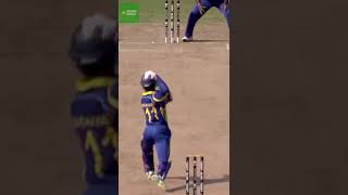Funny moments in the cricket