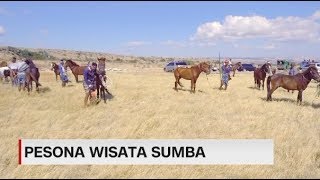 Menjelajah Pesona Wisata Sumba