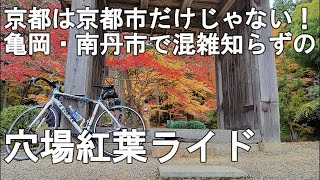 【亀岡南丹で混雑知らずの紅葉観光サイクリング】京都市内は激混みなので人少なく風情を楽しめる亀岡南丹両市でのんびり観光ライド