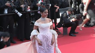 Ouverture du tapis rouge pour la clôture du Festival de Cannes | AFP Images