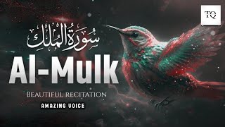 Mesmerizing Quran Recitation: Surah Mulk Melodies