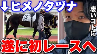 【馬主】ヒメノタヅナが遂に初レースに挑む！ 怪我を乗り越えたどり着いたデビュー。気になるレースの結果は...!?  【切り抜き ネクステ 】