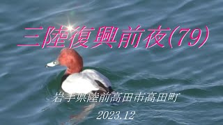 三陸復興前夜(79)  岩手県陸前高田市高田町 2023.12