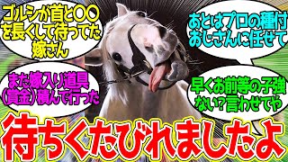 ロータスちゃん、「嫁ぐ」と「稼ぐ」を見間違えた説に対するみんなの反応！【競馬 の反応集】