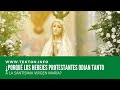 ¿Por qué los herejes protestantes odian tanto a la Santísima Virgen María?