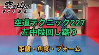 【武道】空道テクニック227「左中段回し蹴り」【格闘技】