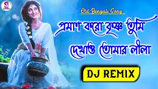 Bengali Old Dj Song||Praman Koro Krishna Tumi||Dj Ayon Remix||Sj Remaix