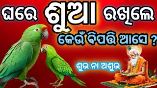 ଘରେ ଶୁଆ ରଖିବା ଶୁଭ ନା ଅଶୁଭ ? ଶାସ୍ତ୍ର ଅନୁସାରେ କଣ ରହିଛି ନିୟମ ?#dashmanoj