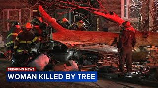 Philadelphia police investigating after tree lands on car, kills woman in Northeast Philadelphia